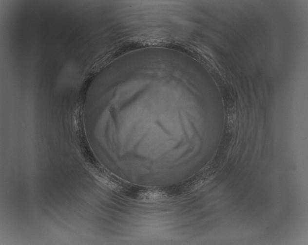 X0000073390503200608181007
