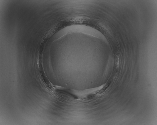 X0000073390504200608181007