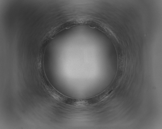 X0000073390505200608181007