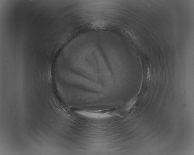 X0000073390508200608181007