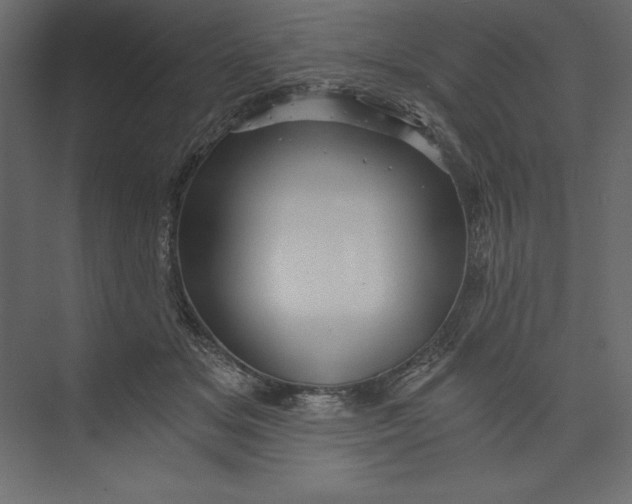 X0000073390509200608181007