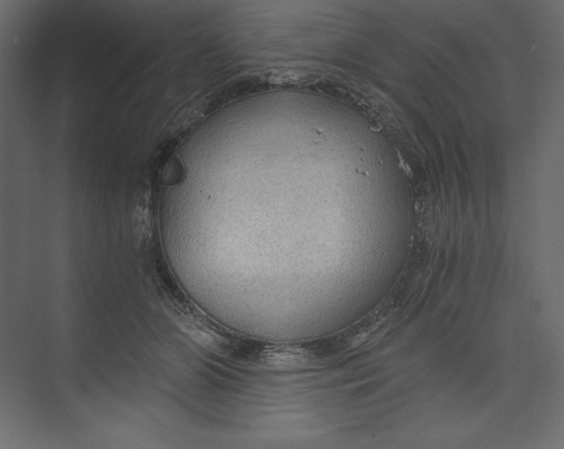 X0000073390510200608181007