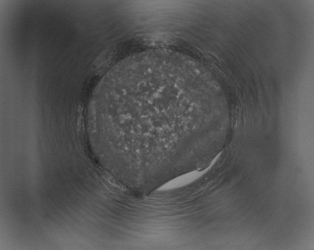 X0000073390511200608181007