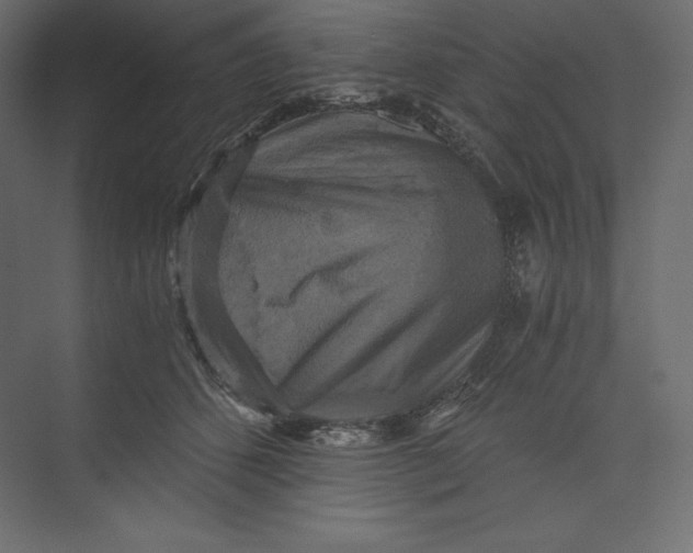 X0000073390512200608181007