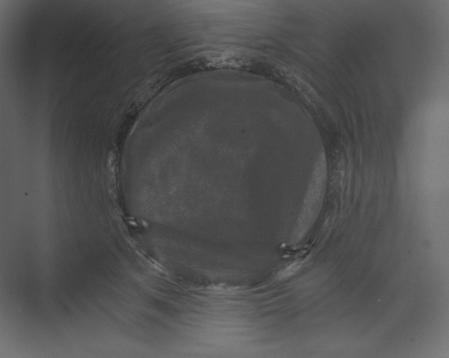 X0000073390513200608181007