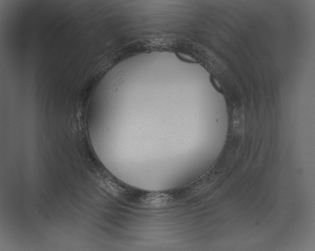X0000073390514200608181007