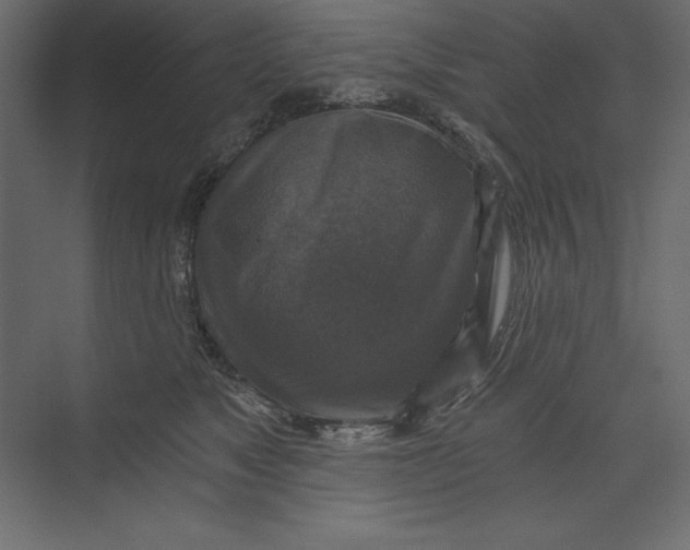 X0000073390517200608181007