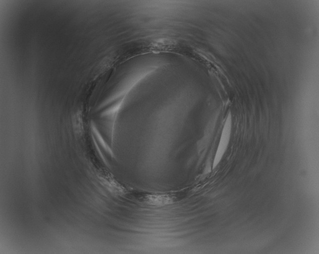 X0000073390520200608181007