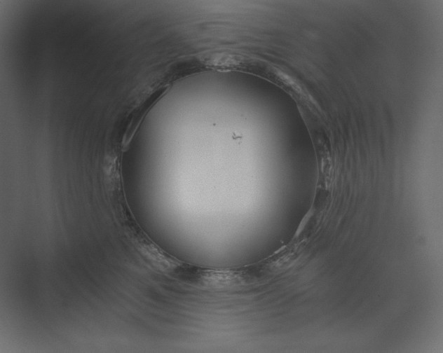 X0000073390521200608181007