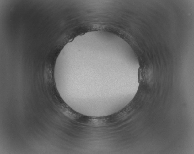 X0000073390522200608181007