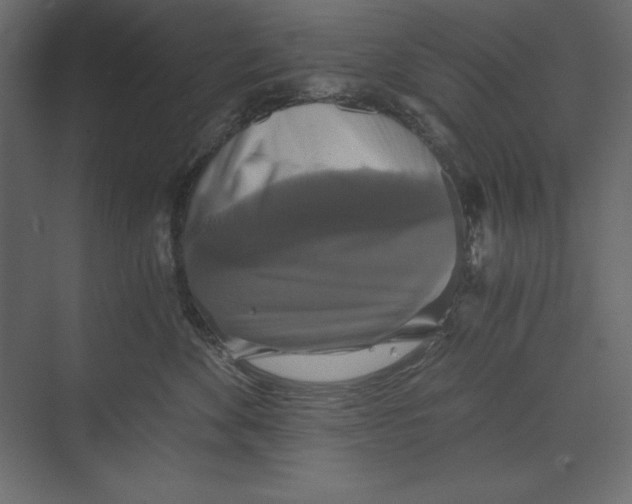 X0000073390524200608181006