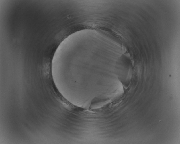 X0000073390526200608181006