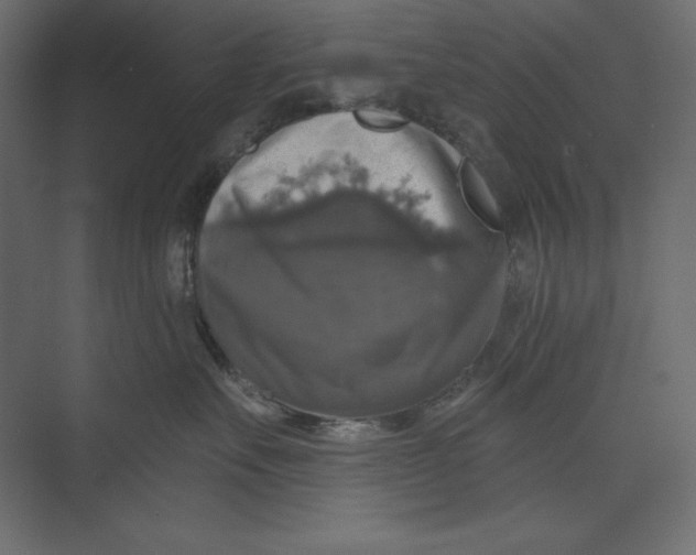 X0000073390527200608181006