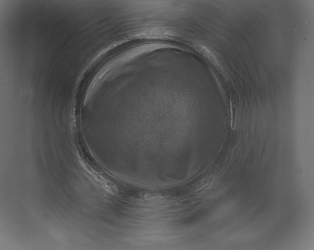 X0000073390531200608181006