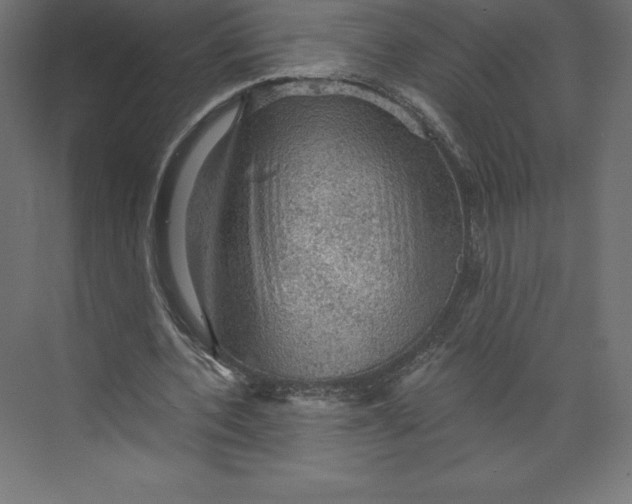 X0000073390532200608181006
