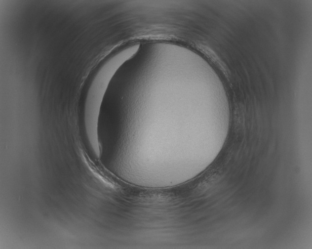 X0000073390533200608181006