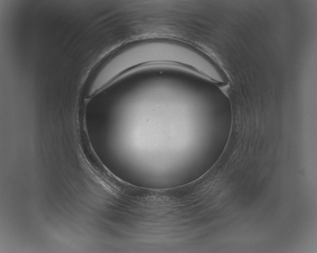 X0000073390535200608181006