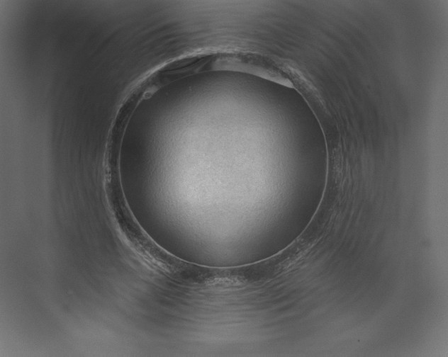 X0000073390536200608181006