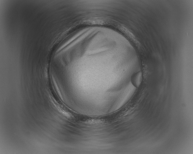 X0000073390537200608181006