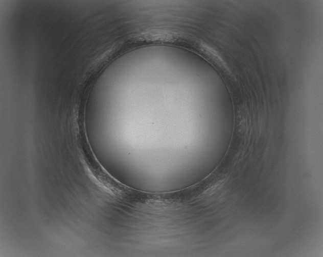 X0000073390538200608181006