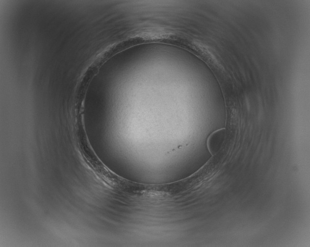 X0000073390539200608181006