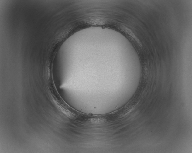 X0000073390541200608181006