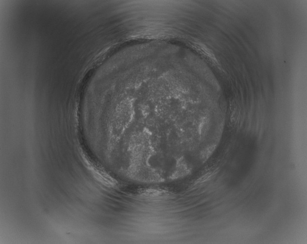 X0000073390542200608181006