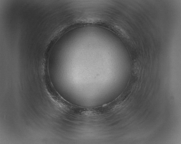 X0000073390544200608181006
