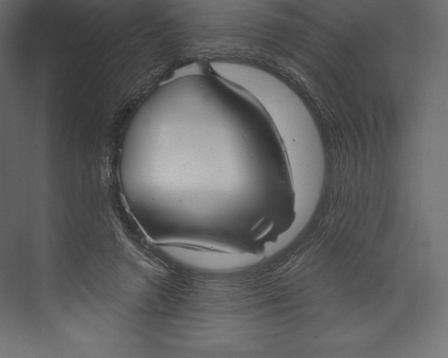 X0000073390546200608181006