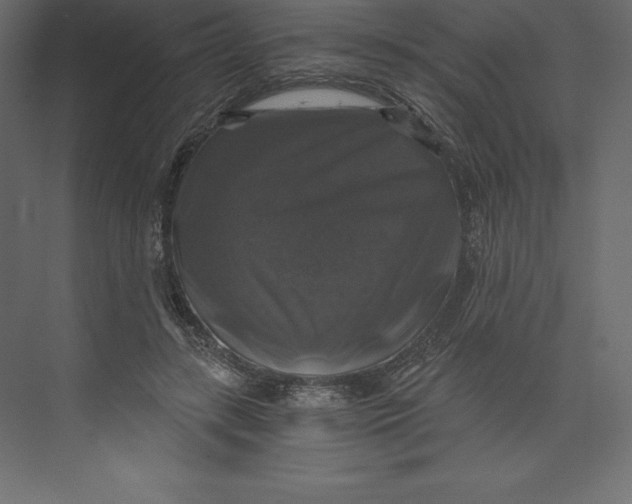 X0000073390547200608181006