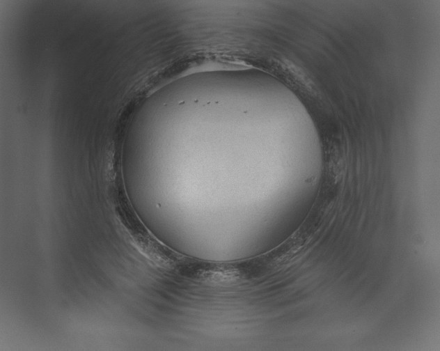 X0000073390548200608181006