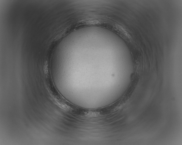 X0000073390549200608181006