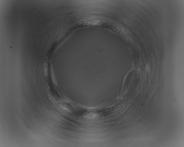 X0000073390551200608181006