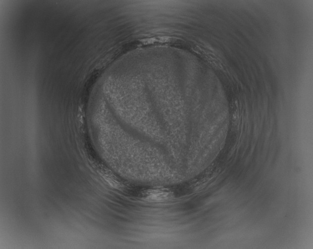 X0000073390555200608181006