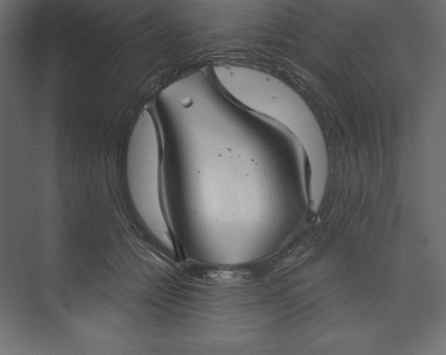 X0000073390558200608181006
