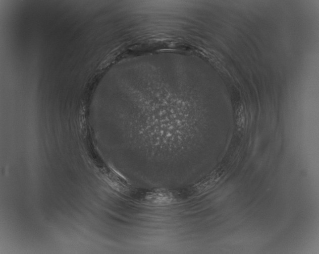 X0000073390559200608181006