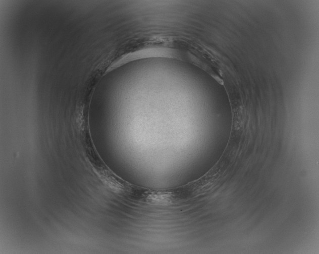 X0000073390560200608181006