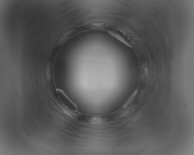 X0000073390562200608181006