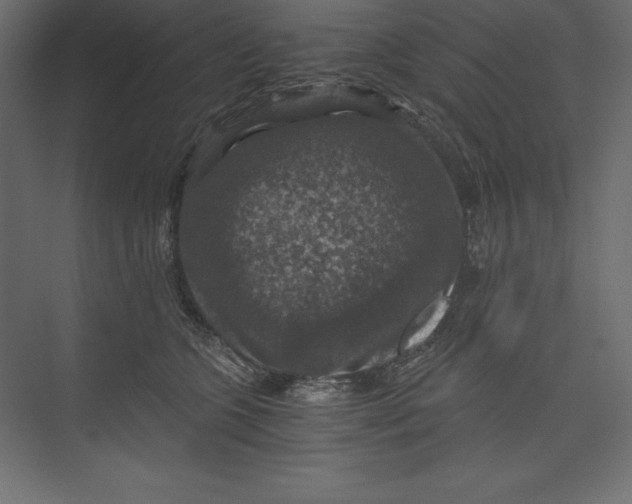 X0000073390563200608181006