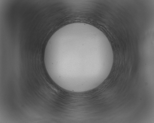 X0000073390564200608181006