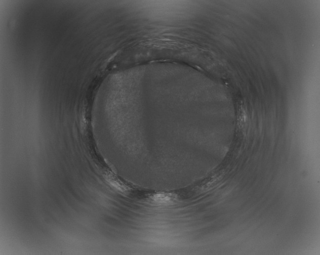 X0000073390566200608181006