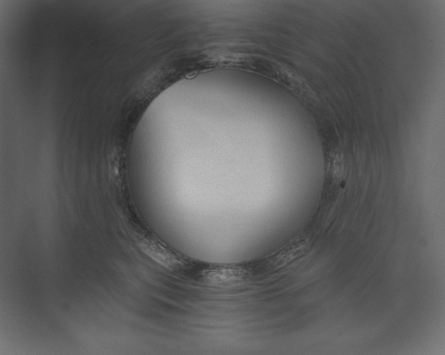 X0000073390567200608181006