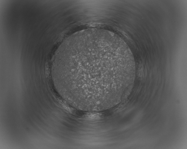 X0000073390569200608181006
