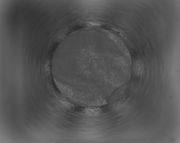 X0000073390571200608181006