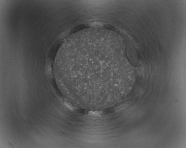 X0000073390573200608181006