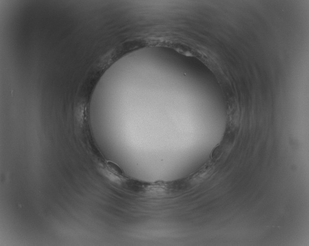 X0000073390574200608181006
