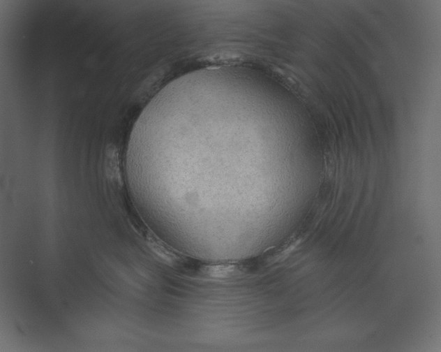 X0000073390575200608181006