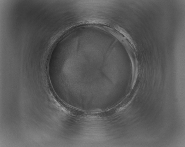 X0000073390577200608181006