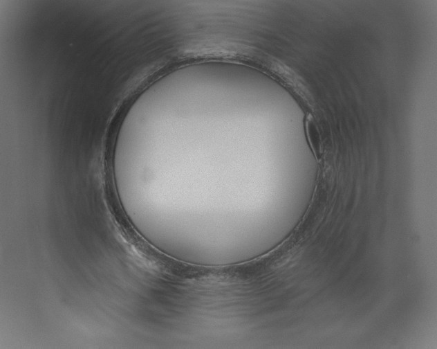 X0000073390578200608181006