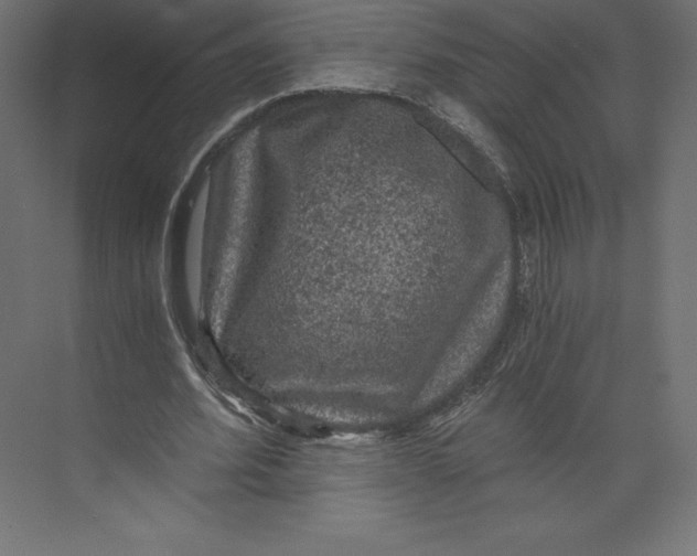 X0000073390580200608181006
